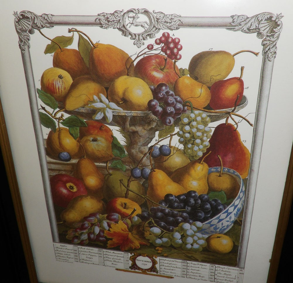 Two Framed Hand Colored Fruit Month Engravings - 6