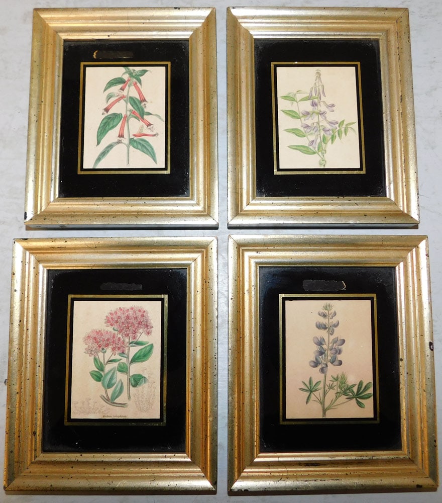 Set of Four Miniature Framed & Eglomise Border Botanical Prints: Set of Four Miniature Framed & Eglomise Border Botanical Prints . 6 1/4" x 5 1/4" ALL DESCRIPTIONS AND ANY CONDITION STATEMENT GIVEN BY LANGSTON AUCTION GALLERY ARE STRICTLY OPINIONS AND LANGSTON'S