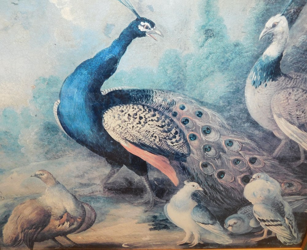 Large Framed Bird Print - 2
