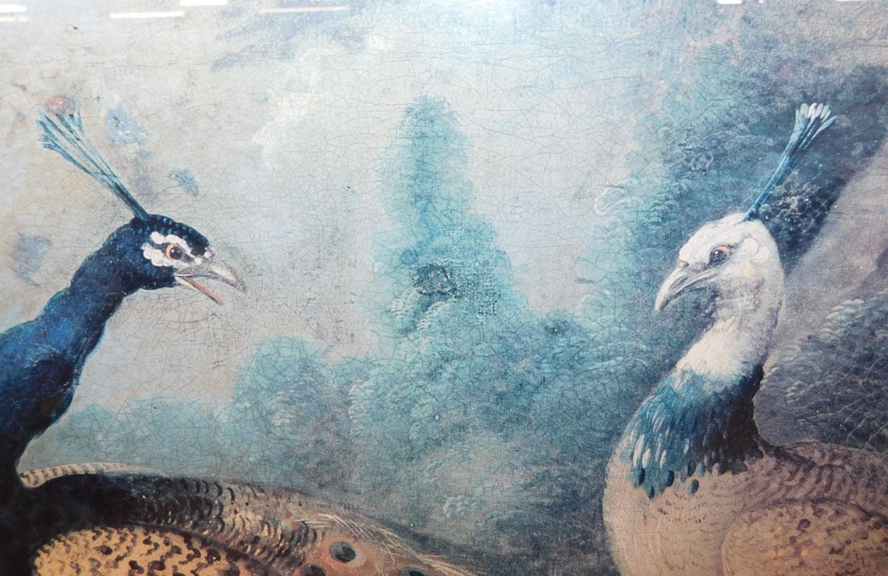 Large Framed Bird Print - 3