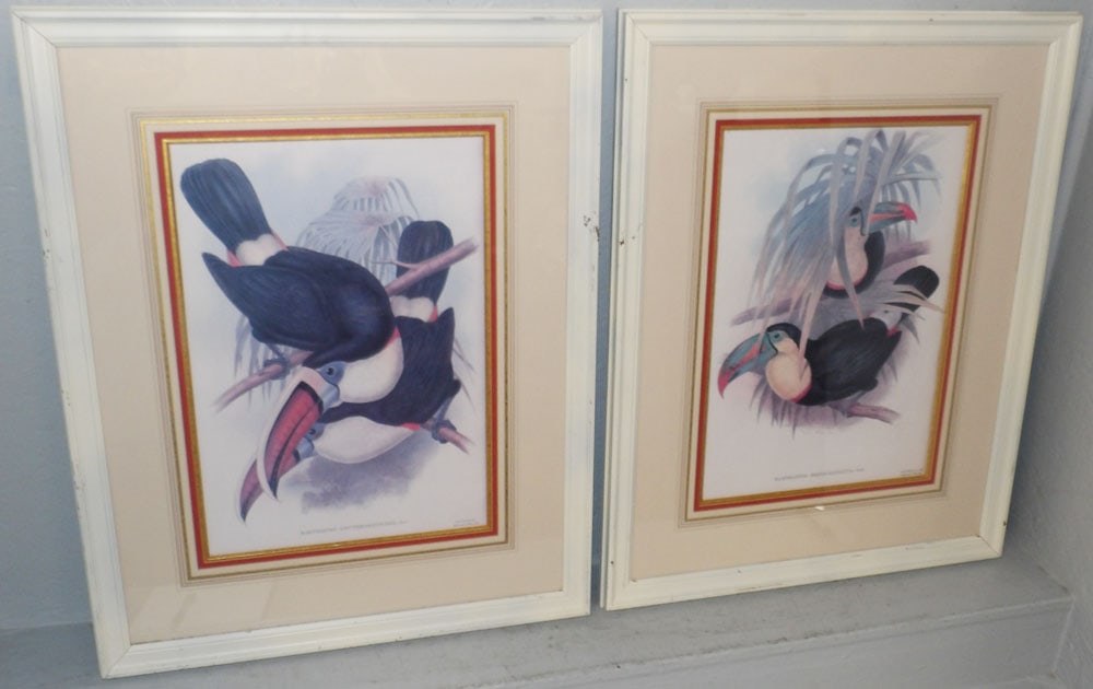 Pair of Framed Ornithological Colored Lithographs "Family of Toucans" by Gould & Richter: Pair of Framed Ornithological Colored Lithographs "Family of Toucans" by Gould & Richter. 25 1/2" x 32" ALL DESCRIPTIONS AND ANY CONDITION STATEMENT GIVEN BY LANGSTON AUCTION GALLERY ARE STRICTLY OPIN