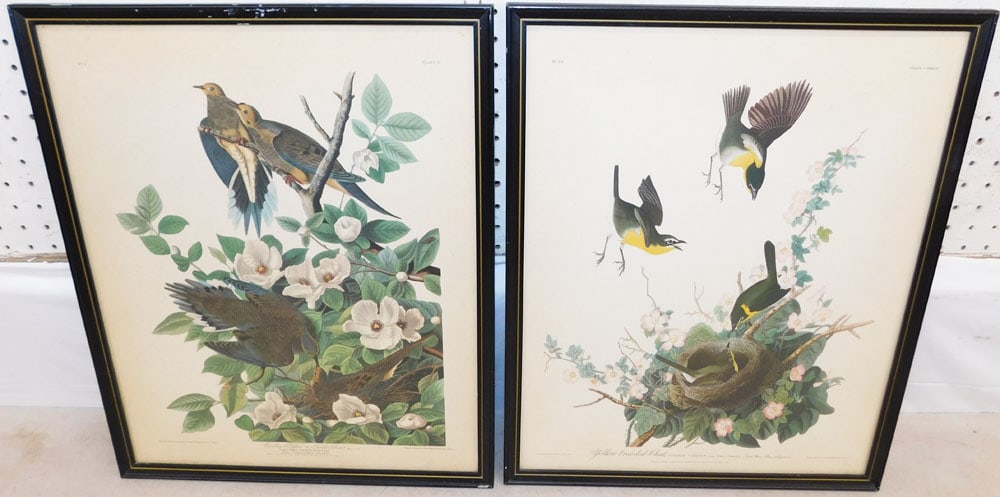 Two Framed Bird Prints by J.J Audubon (1 of 5)