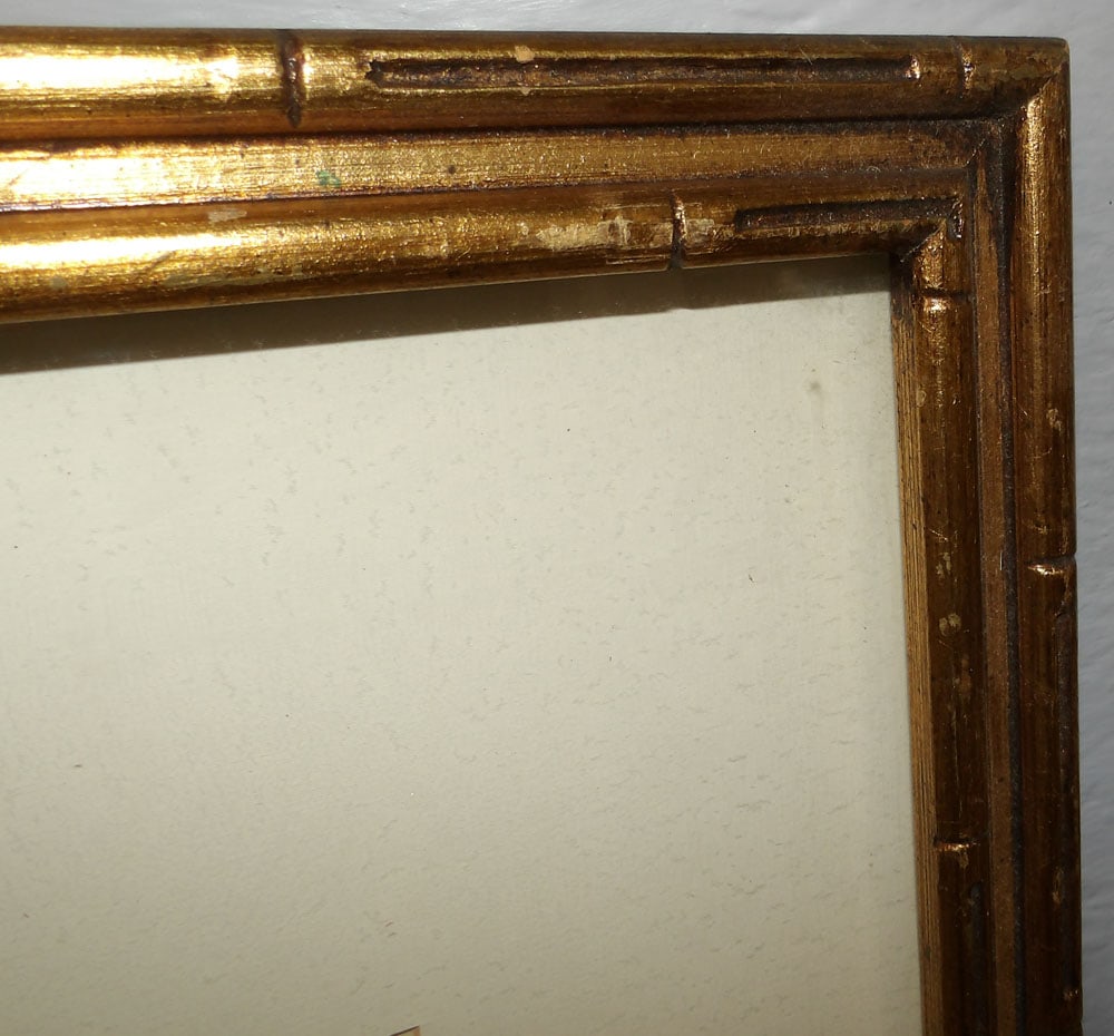 Two Framed Botanical Prints - 4