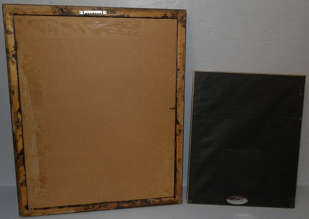 Two Framed Botanical Prints - 6