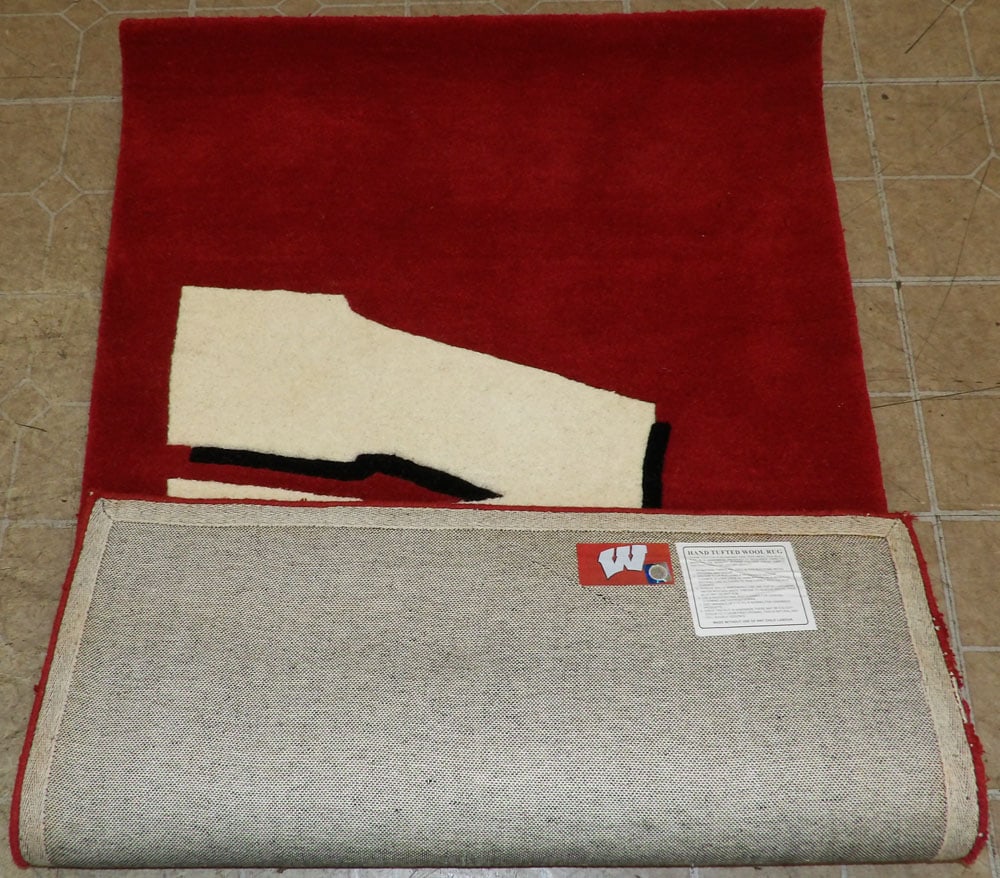 3' x 4' 11" Wool Rug - 4