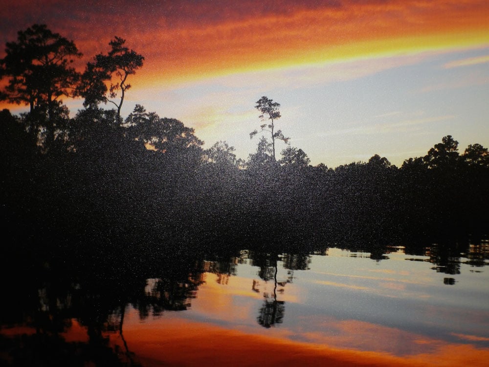Framed Print on Canvas - 2