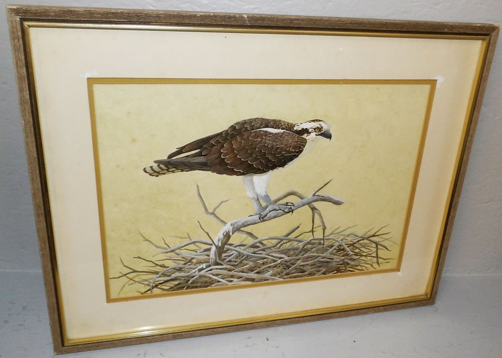 Framed Eagle Watercolor Artist Signed: Framed Eagle Watercolor Artist Signed . 19 1/4" x 25 1/2" "ALL DESCRIPTIONS AND ANY CONDITION STATEMENT GIVEN BY LANGSTON AUCTION GALLERY ARE STRICTLY OPINIONS AND LANGSTON'S SHALL HAVE NO RESPONSIBIL