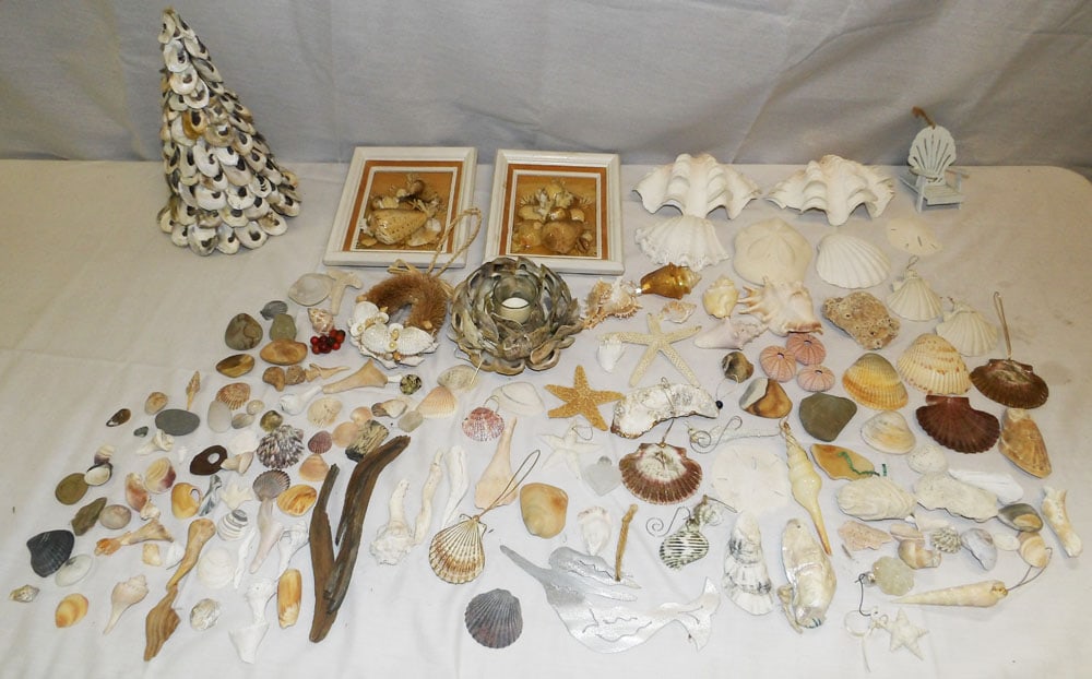 Lot of Seashells & Seashell Decorated Items (1 of 7)