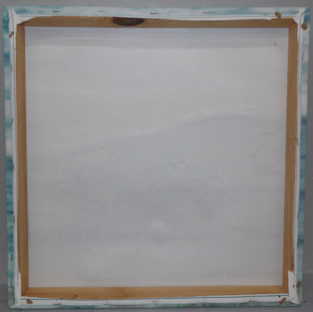Framed Print on Canvas - 2