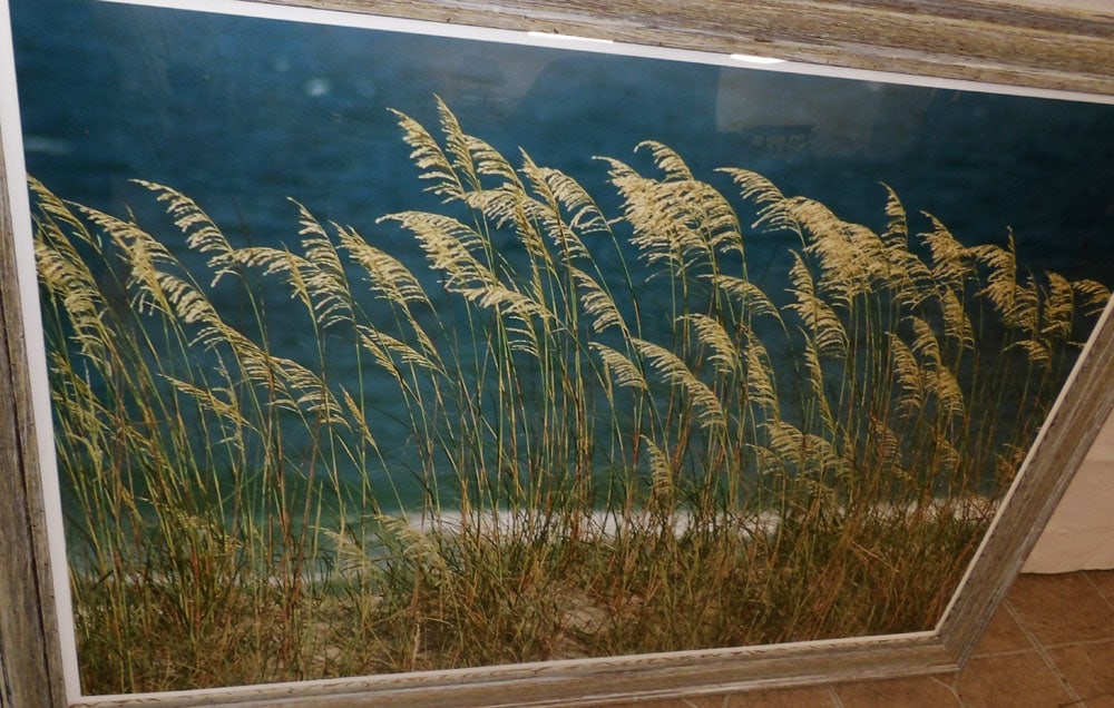 Three Framed Photos - 3