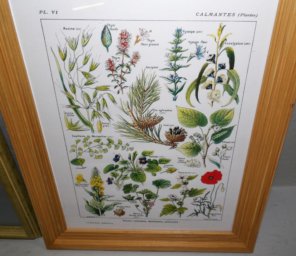 Four Framed Prints - 4