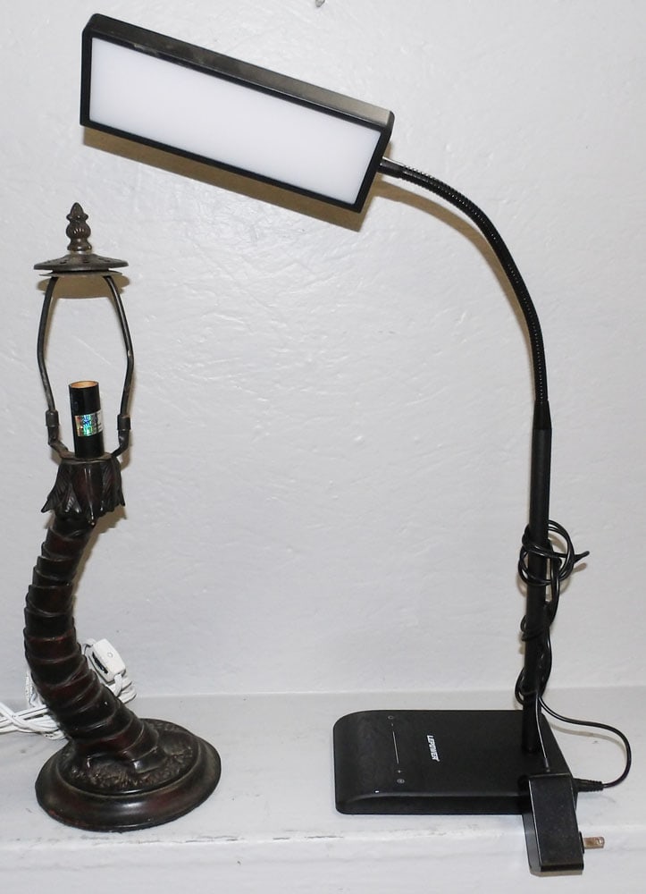 Modern Desk Lamp & Painted Resin Lamp: Modern Desk Lamp & Painted Resin Lamp. Up to 21" H "ALL DESCRIPTIONS AND ANY CONDITION STATEMENT GIVEN BY LANGSTON AUCTION GALLERY ARE STRICTLY OPINIONS AND LANGSTON'S SHALL HAVE NO RESPONSIBILITY