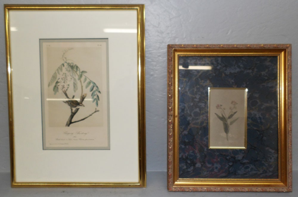 Two Framed Prints, One by JJ Audubon: Two Framed Prints, One by JJ Audubon. Up to 17" x 12 3/4" "ALL DESCRIPTIONS AND ANY CONDITION STATEMENT GIVEN BY LANGSTON AUCTION GALLERY ARE STRICTLY OPINIONS AND LANGSTON'S SHALL HAVE NO RESPONSIBIL