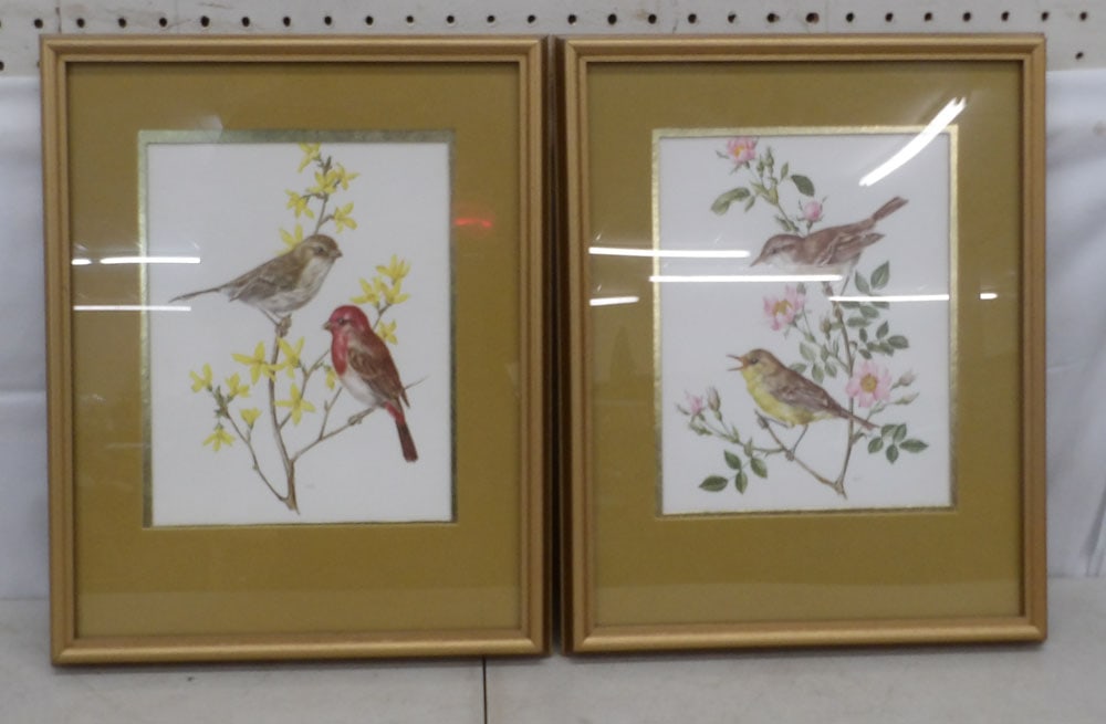 Pair of Framed Bird Prints (1 of 4)