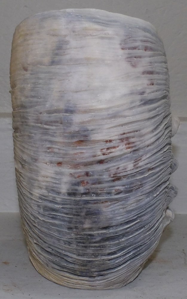 Resin Decorative Shell: Resin Decorative Shell . 9 3/4" H 11" W "ALL DESCRIPTIONS AND ANY CONDITION STATEMENT GIVEN BY LANGSTON AUCTION GALLERY ARE STRICTLY OPINIONS AND LANGSTON'S SHALL HAVE NO RESPONSIBILITY FOR ERRORS OR