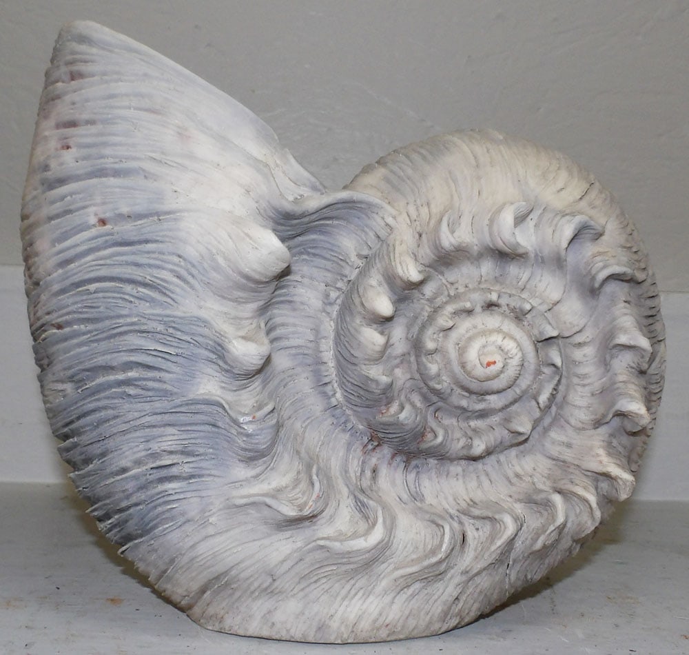 Resin Decorative Shell - 2