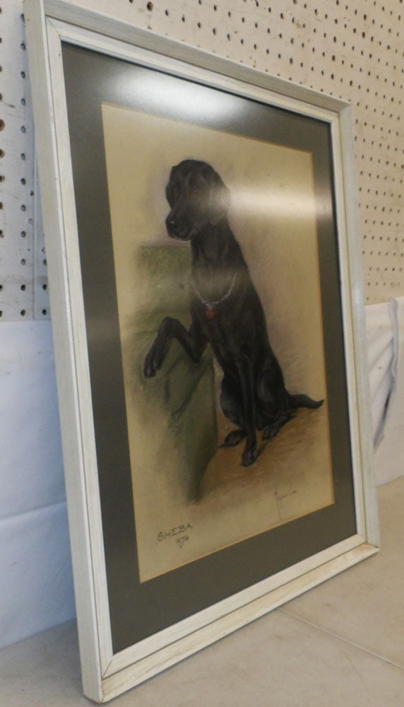 Framed Portrait Pastel of a Black Labrador by Mayone Cox: Framed Portrait Pastel of a Black Labrador by Mayone Cox . 26 1/4" x 20 1/2" "ALL DESCRIPTIONS AND ANY CONDITION STATEMENT GIVEN BY LANGSTON AUCTION GALLERY ARE STRICTLY OPINIONS AND LANGSTON'S SHALL