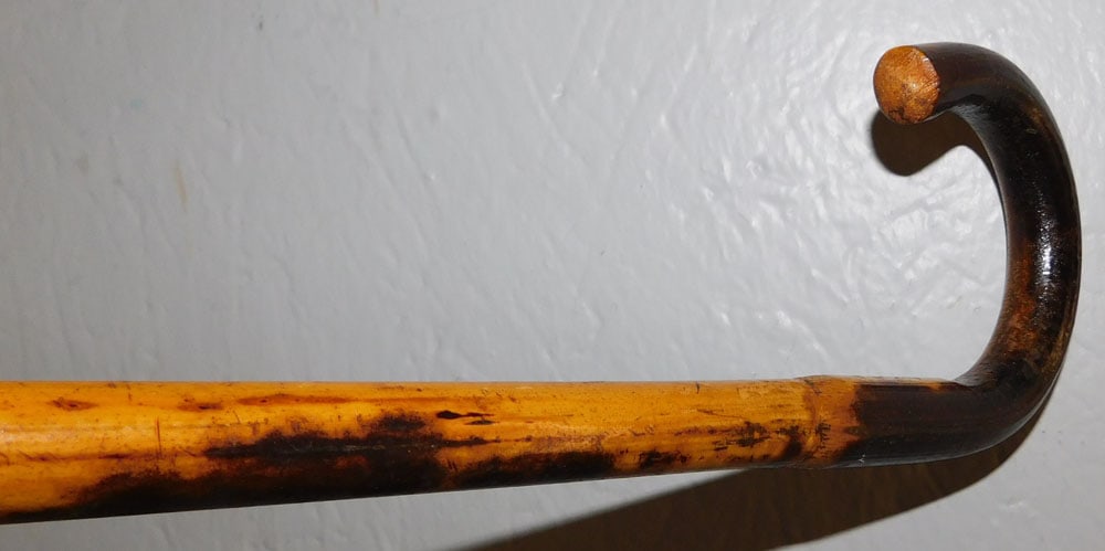 Bamboo Walking Stick - 3