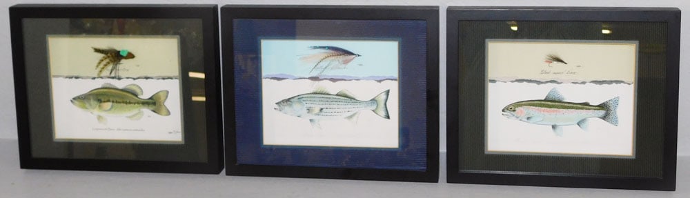 Three Enclosed Frame Limited Edition Fish Illustrations with Fishing Lures: Three Enclosed Frame Limited Edition Fish Illustrations with Fishing Lures. 12" x 15" each "ALL DESCRIPTIONS AND ANY CONDITION STATEMENT GIVEN BY LANGSTON AUCTION GALLERY ARE STRICTLY OPINIONS AND