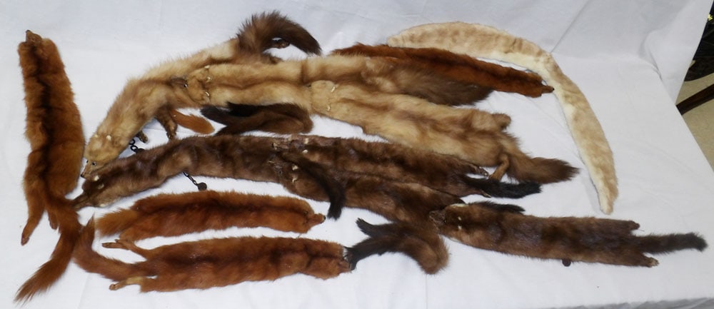 Lot of Vintage Ladies Furs (1 of 2)