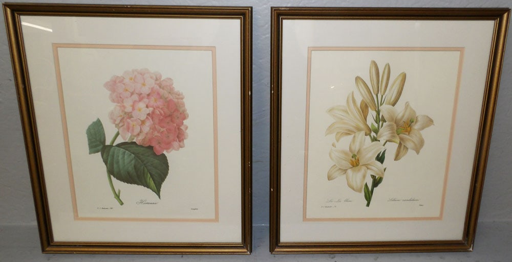 Two Framed Botanical Prints: Two Framed Botanical Prints . 16 1/2" x 14 3/4" W ALL DESCRIPTIONS AND ANY CONDITION STATEMENT GIVEN BY LANGSTON AUCTION GALLERY ARE STRICTLY OPINIONS AND LANGSTON'S SHALL HAVE NO RESPONSIBILITY FOR E