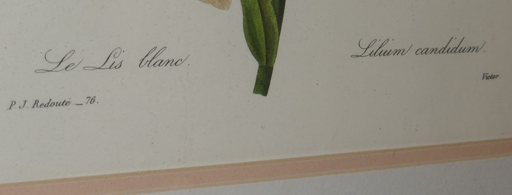 Two Framed Botanical Prints - 2