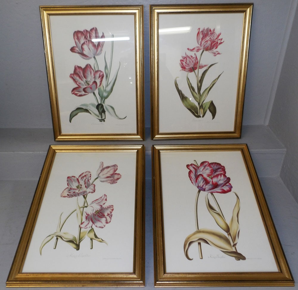 Four Framed Botanical Prints: Four Framed Botanical Prints . Up to 22 1/2" x 16 1/2" ALL DESCRIPTIONS AND ANY CONDITION STATEMENT GIVEN BY LANGSTON AUCTION GALLERY ARE STRICTLY OPINIONS AND LANGSTON'S SHALL HAVE NO RESPONSIBILITY 