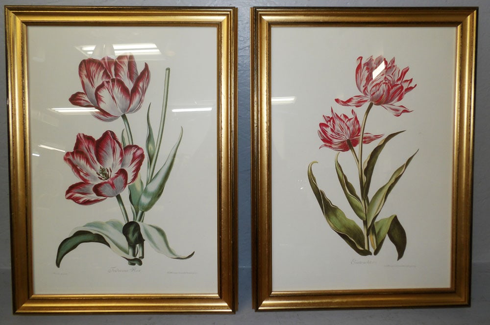 Four Framed Botanical Prints - 2
