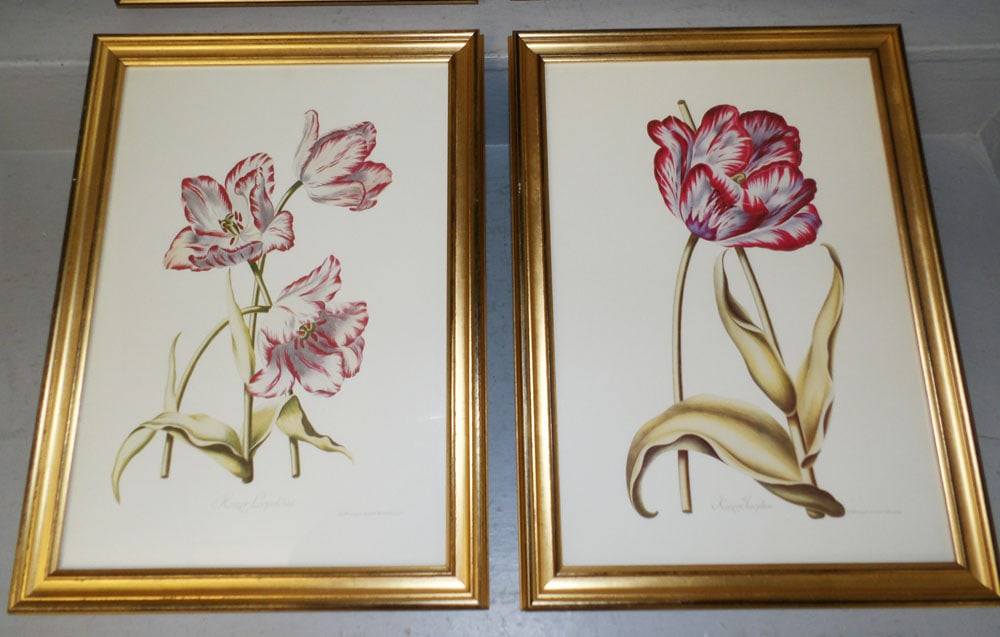 Four Framed Botanical Prints - 3