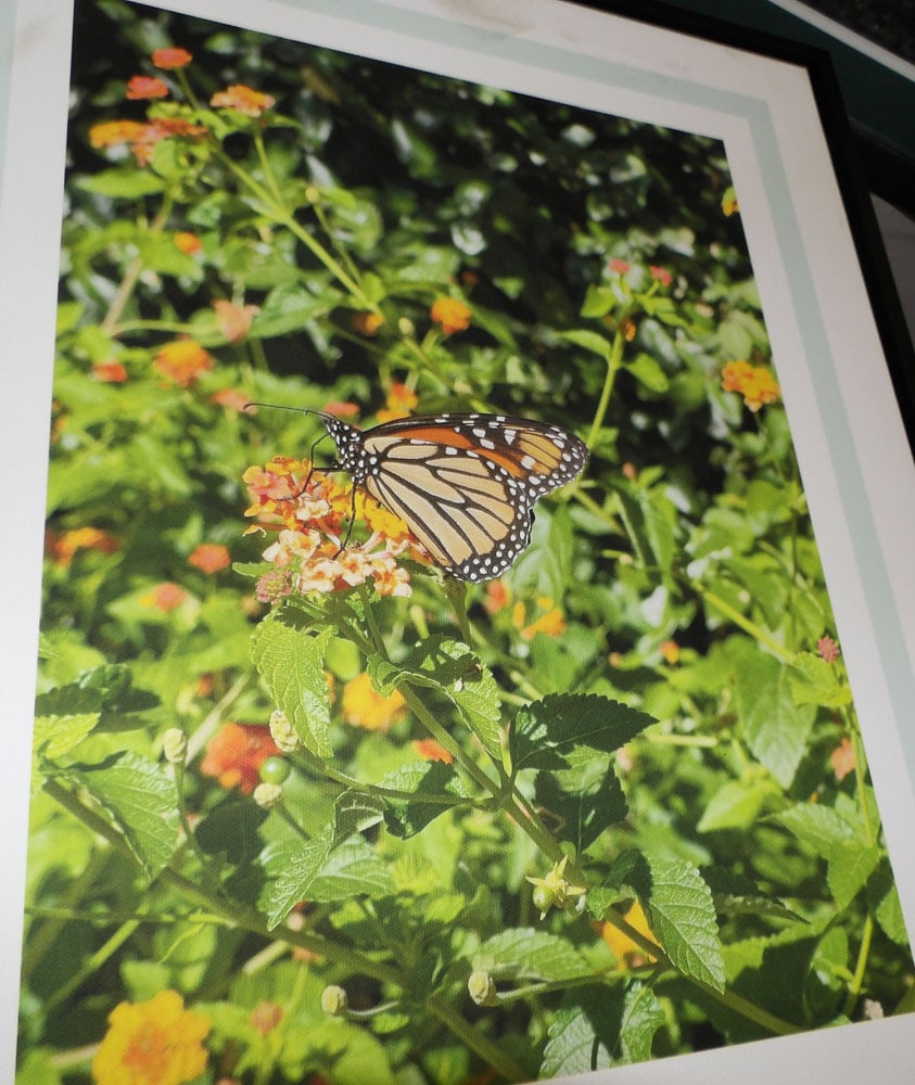 Three Framed Prints - 2