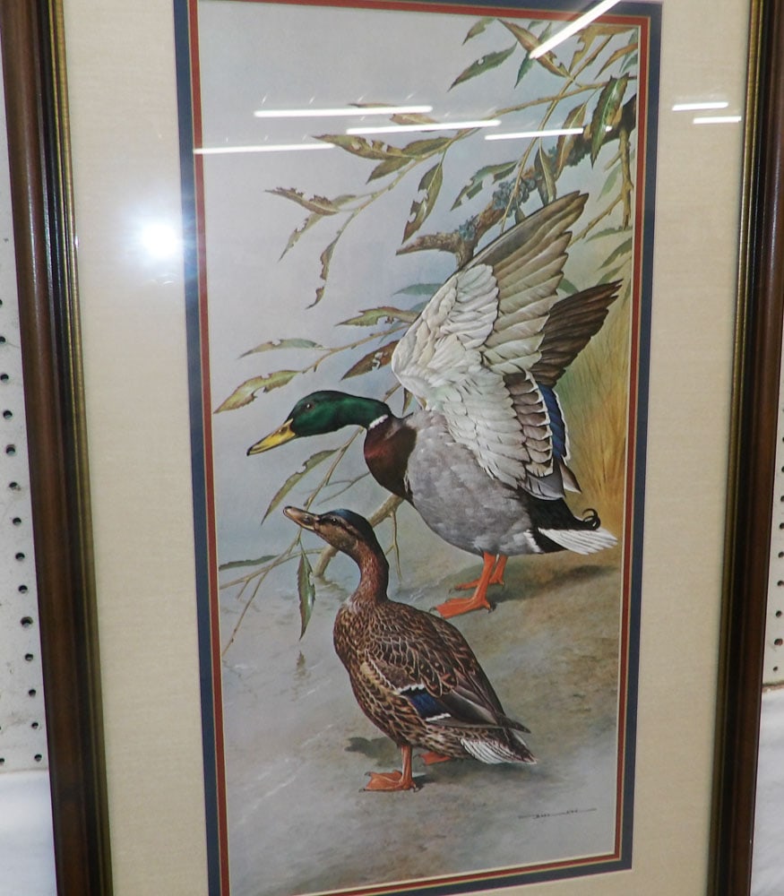 Framed Print - 2