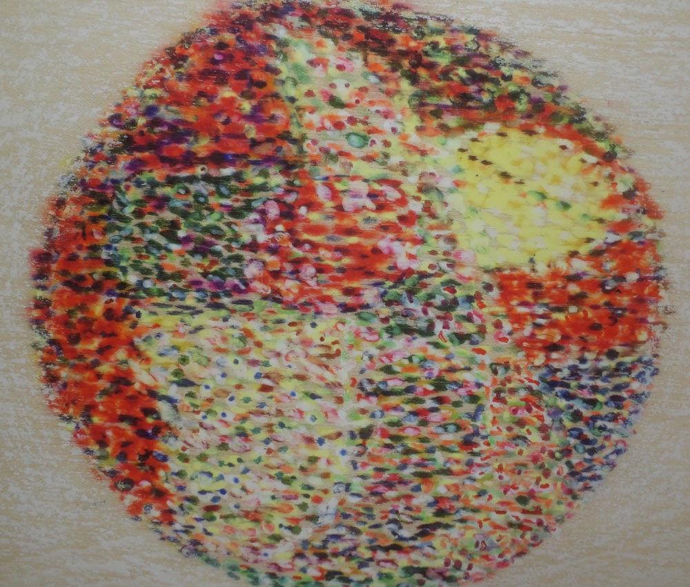 Framed Print on Canvas - 2