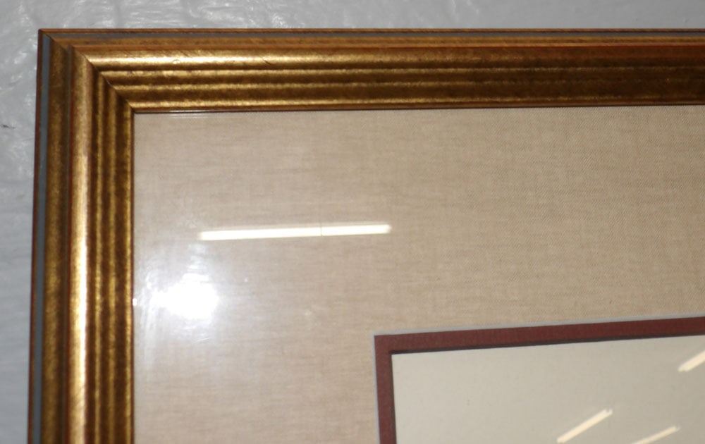 Framed Print - 2