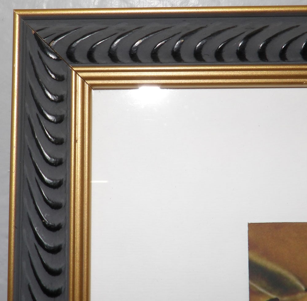 Framed Print - 3