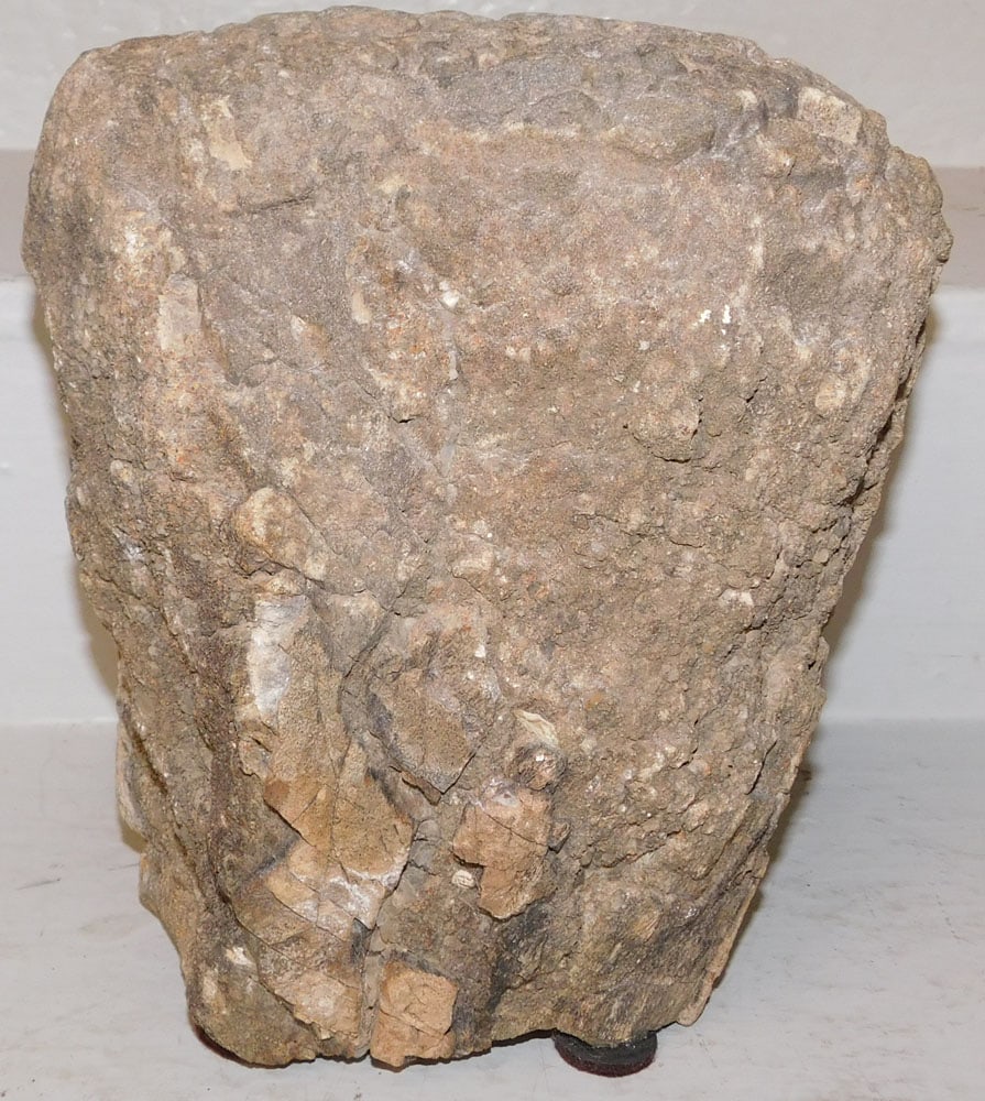 Stone Fossil: Stone Fossil. 9 1/2" H 8 1/2" W "ALL DESCRIPTIONS AND ANY CONDITION STATEMENT GIVEN BY LANGSTON AUCTION GALLERY ARE STRICTLY OPINIONS AND LANGSTON'S SHALL HAVE NO RESPONSIBILITY FOR ERRORS OR
