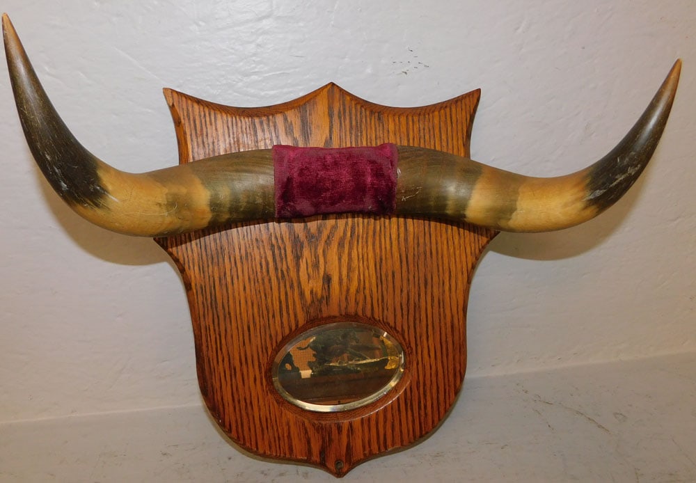 Oak & Bull Horn Hat Rack with Bevel Edge Mirror (1 of 4)