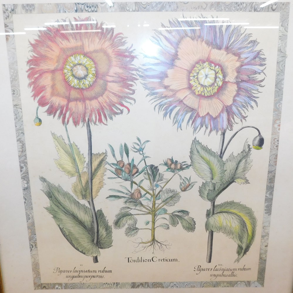 Two Botanical Hand Colored Engravings - 2