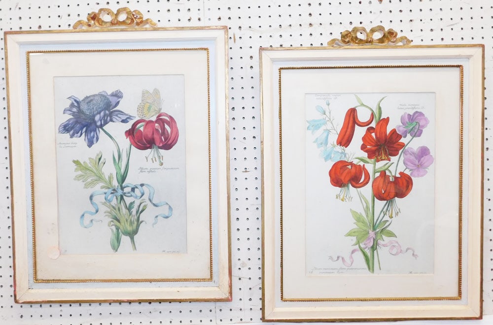 Pair of Framed Hand Colored Botanical Engravings: Pair of Framed Hand Colored Botanical Engravings . 28 1/2" x 21 1/2" "ALL DESCRIPTIONS AND ANY CONDITION STATEMENT GIVEN BY LANGSTON AUCTION GALLERY ARE STRICTLY OPINIONS AND LANGSTON'S SHALL HAVE NO