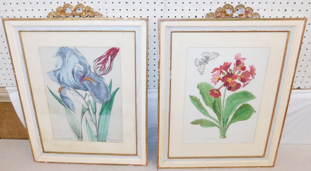 Pair of Framed Hand Colored Botanical Engravings: Pair of Framed Hand Colored Botanical Engravings . 28 1/2" x 21 1/2" "ALL DESCRIPTIONS AND ANY CONDITION STATEMENT GIVEN BY LANGSTON AUCTION GALLERY ARE STRICTLY OPINIONS AND LANGSTON'S SHALL HAVE NO