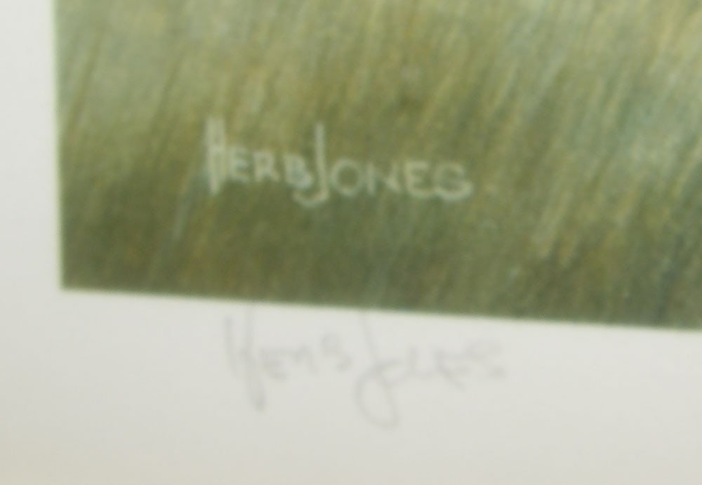 Two Framed Prints Signed Herb Jones - 7