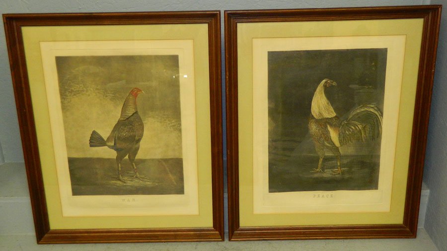 Pair of fighting cock engravings.: Pair of fighting cock engravings, "Peace" and "War" by C. Turner & B. Marshall. 24" x 29".