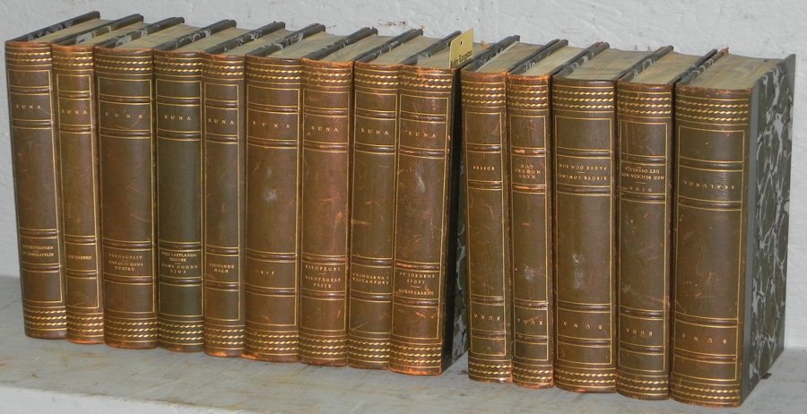 14 quarter leather bound dec. books by Runa (1 of 1)