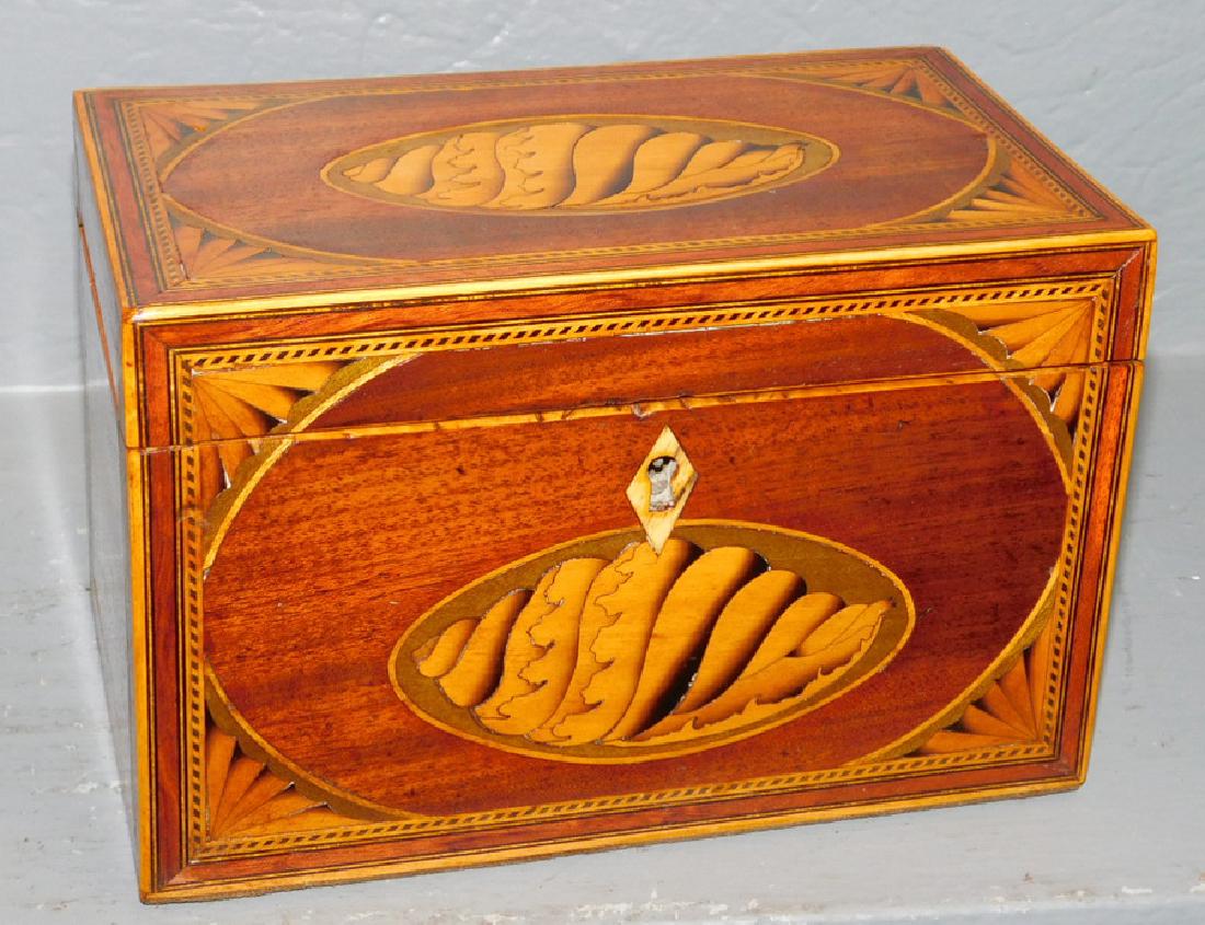 Corner fan inlaid and conch shell fitted tea caddy. (1 of 4)