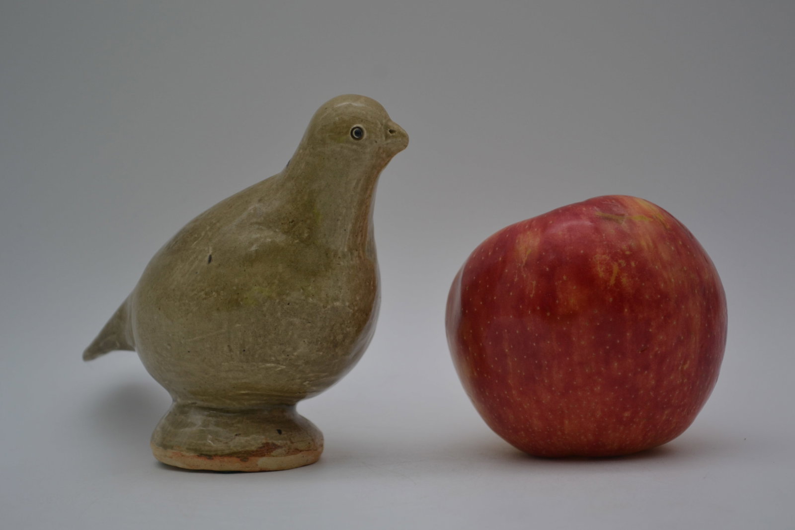 Ruby Meaders Dove (1 of 9)