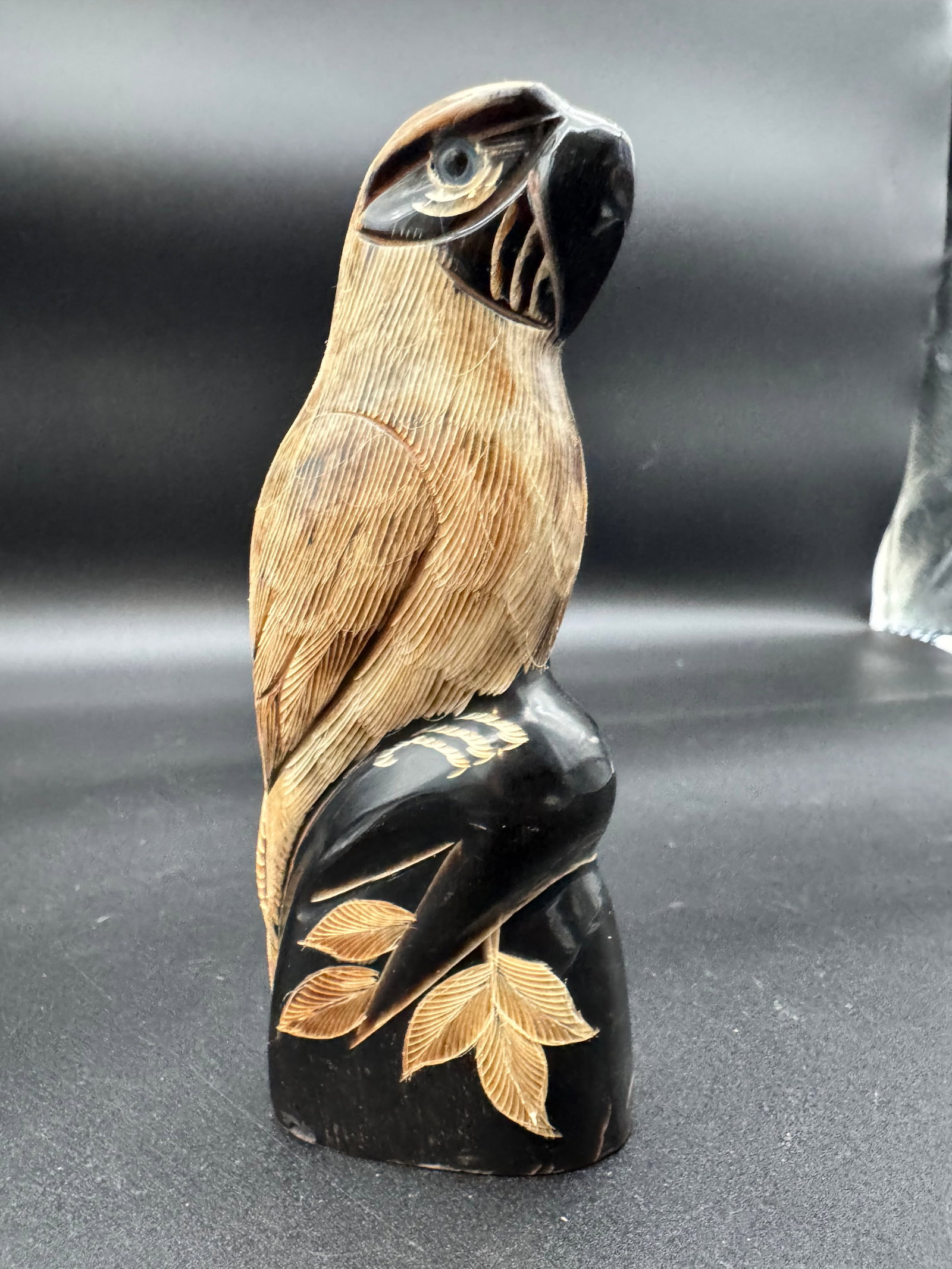 Hand Carved Parrot From a Water Buffalo Horn: Water Buffalo Horn Carving. Perfect for unique gift enthusiasts.