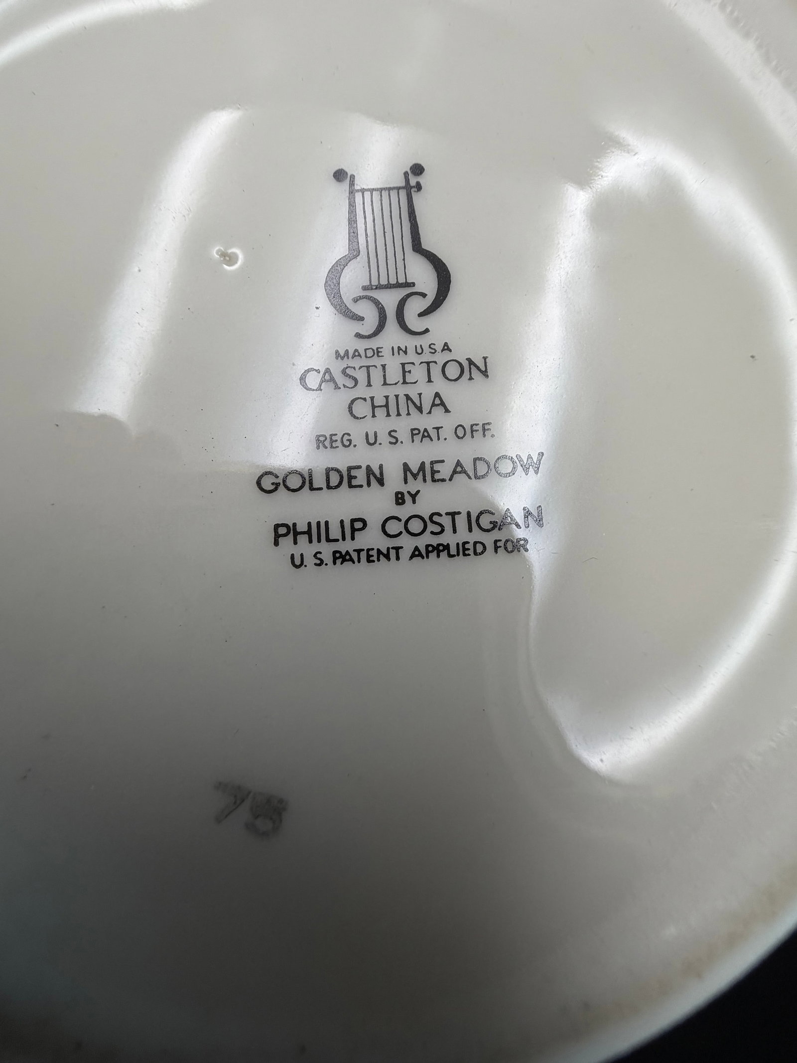 Vintage Castleton China Coffee Pot in Golden Meadow Pattern - 8