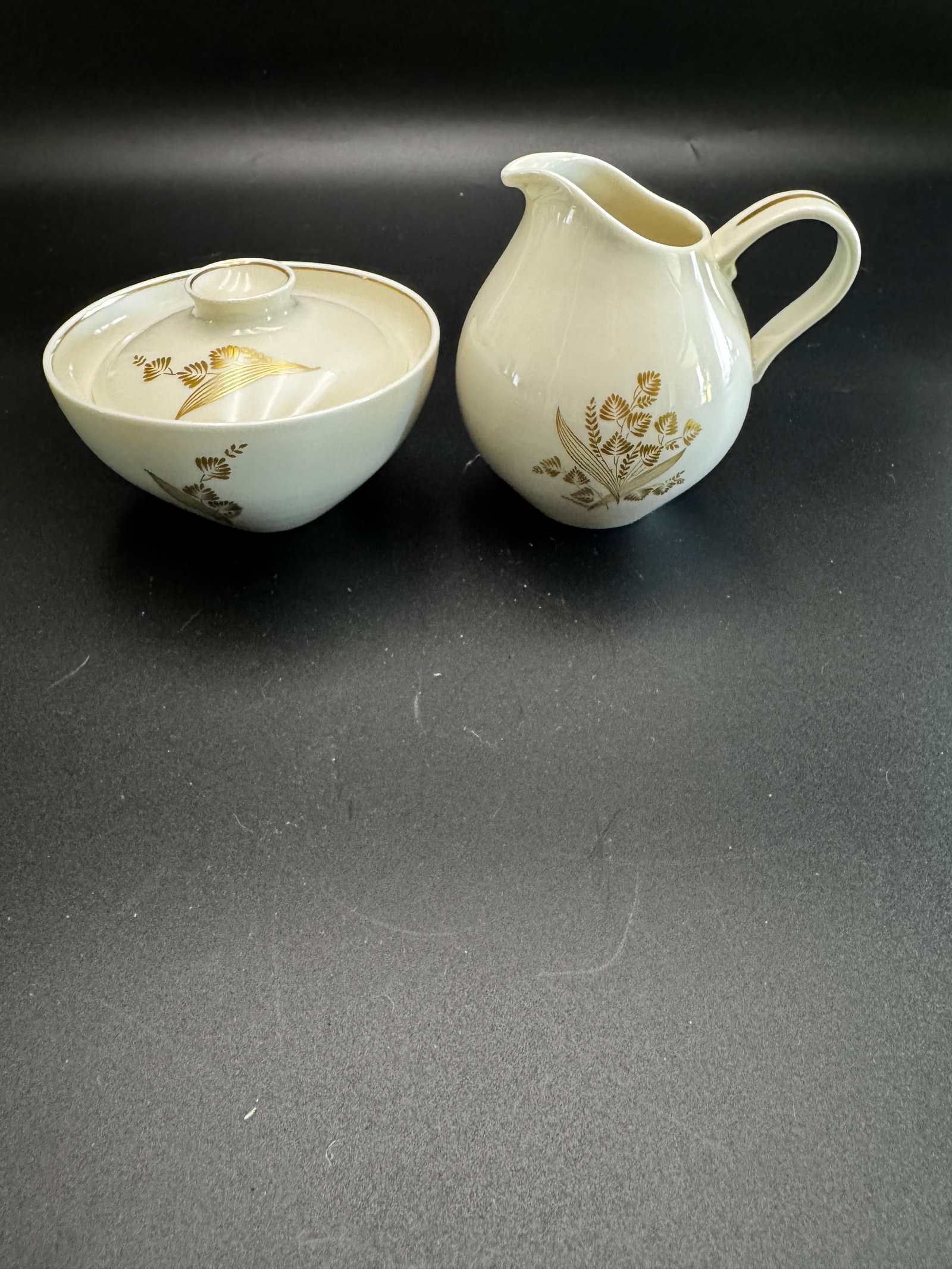 Creamer and Sugar Set, Golden Meadow Pattern by Castleton China. (1 of 11)