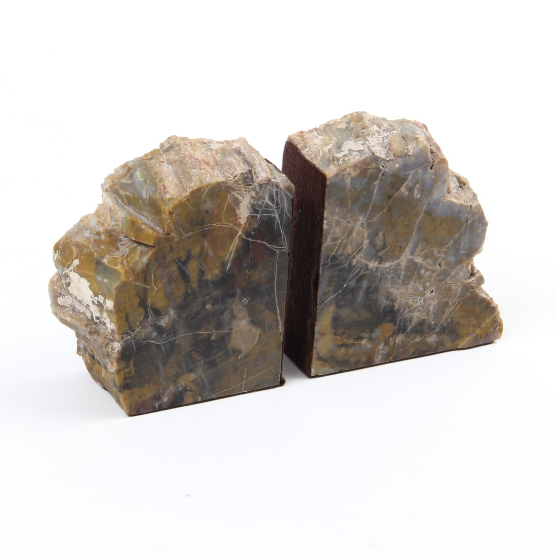 Petrified Wood Bookends (1 of 5)