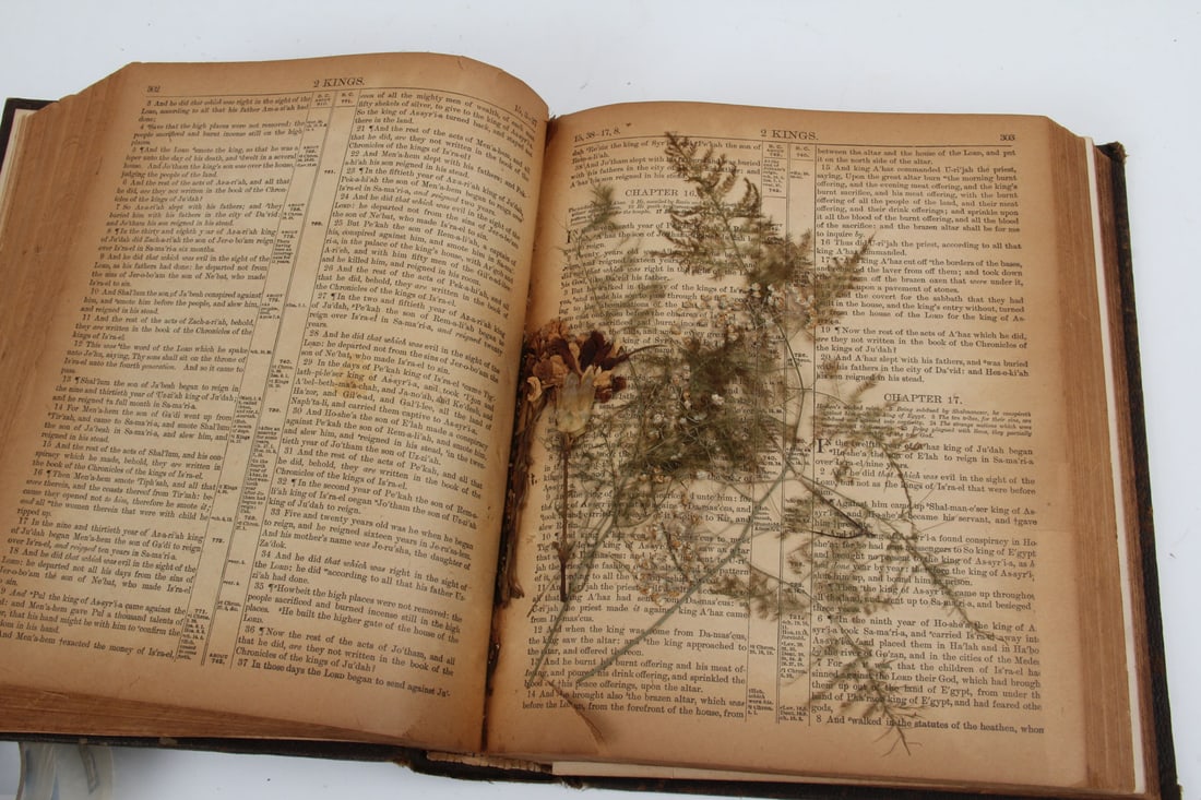 Antique Bible - 12