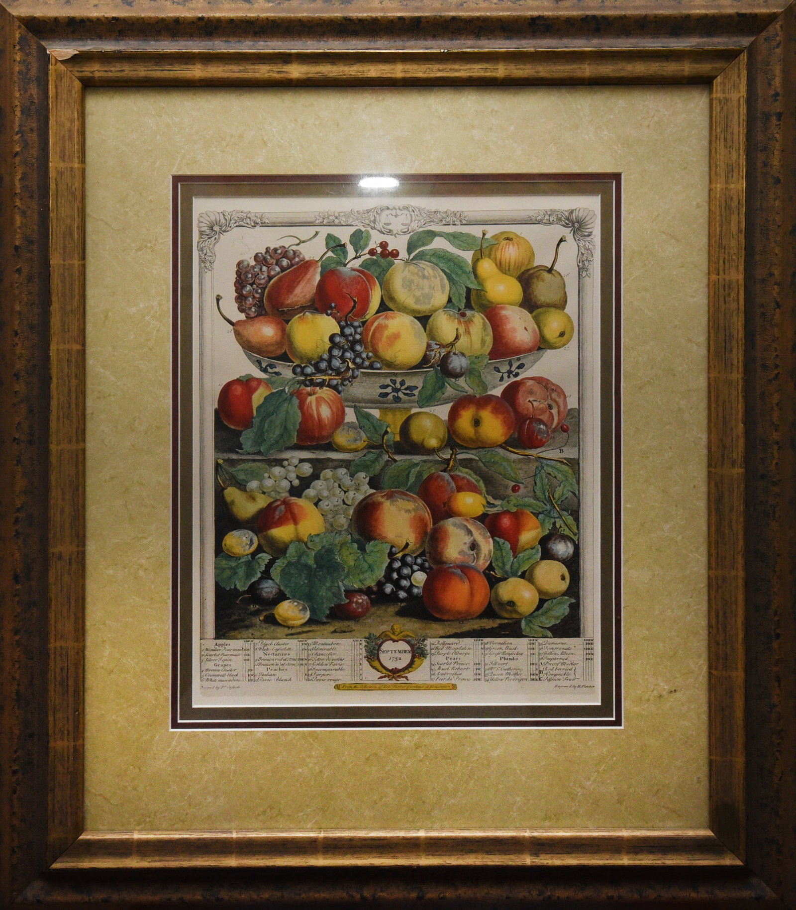 A September Harvest: Botanical Etching, circa 1732 (1 of 2)